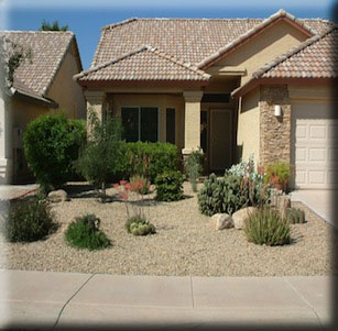 Low Maintenance Gardens